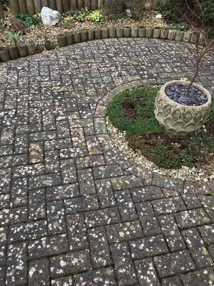 Patio Before Cleaning