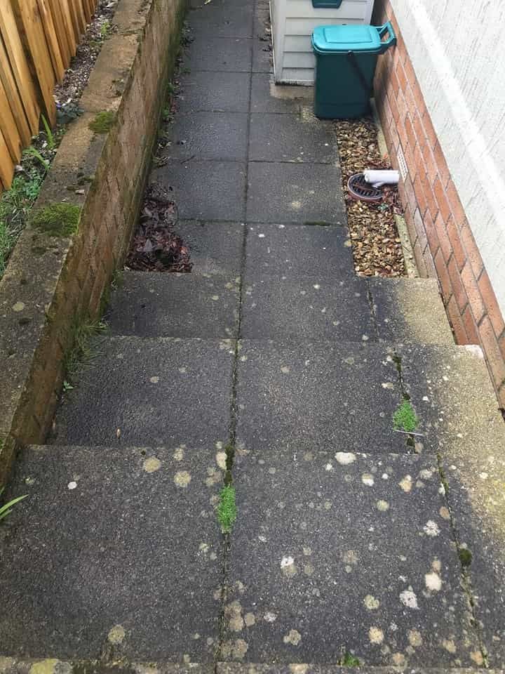 Pathway Before Cleaning