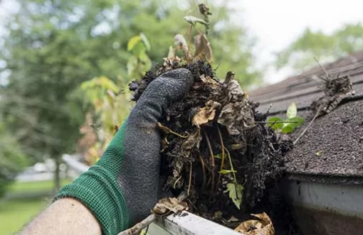Gutter Emptying & Cleaning