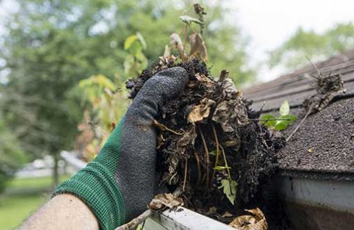 Gutter Emptying & Cleaning